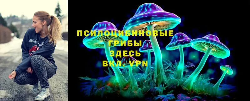 Галлюциногенные грибы Psilocybe  Купино 